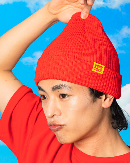 The Play Cool Beanie