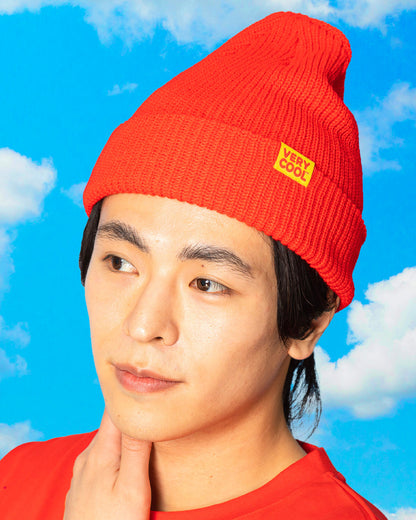 The Play Cool Beanie
