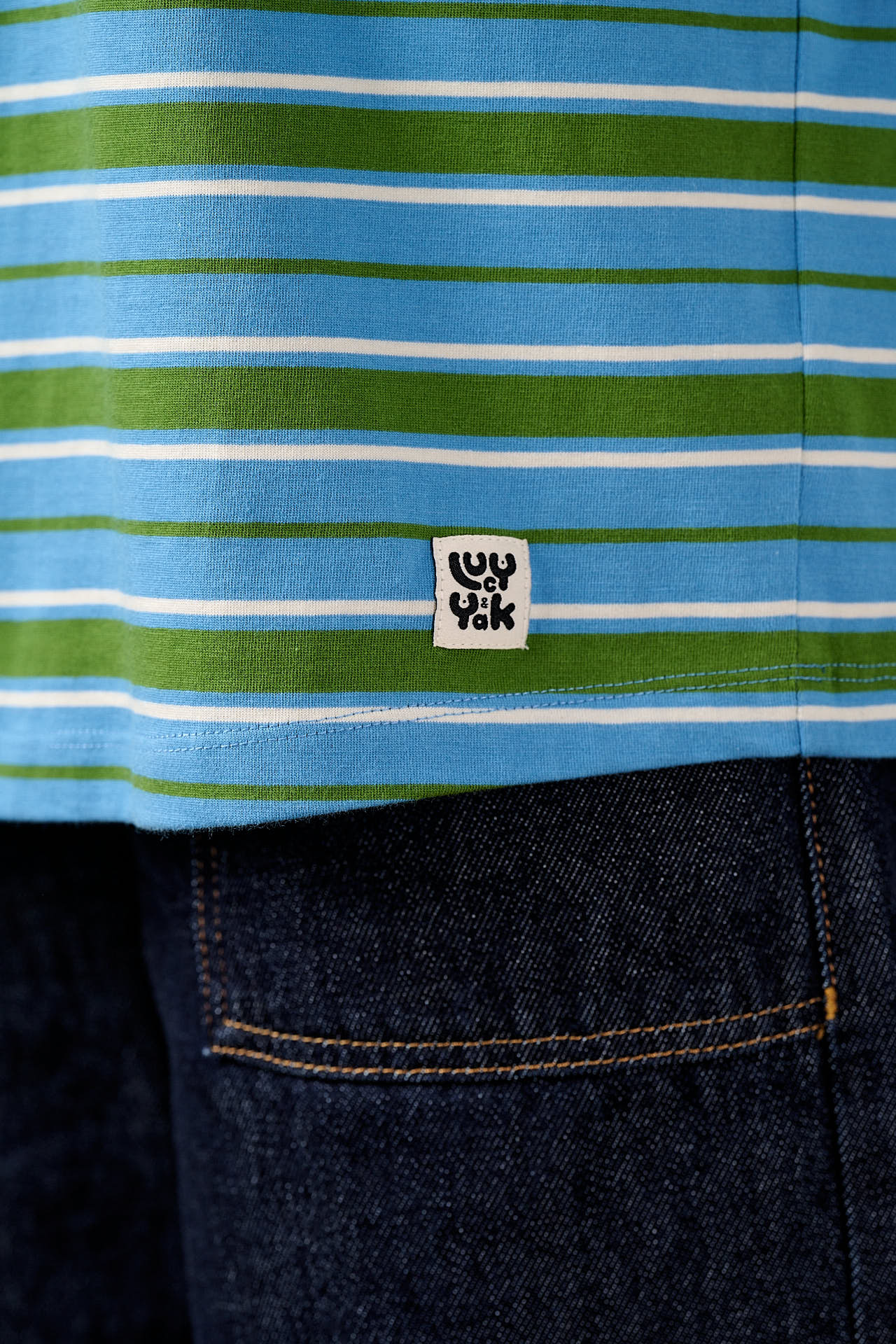 Benny - Oversized Cotton T-Shirt in Green & Blue Stripe
