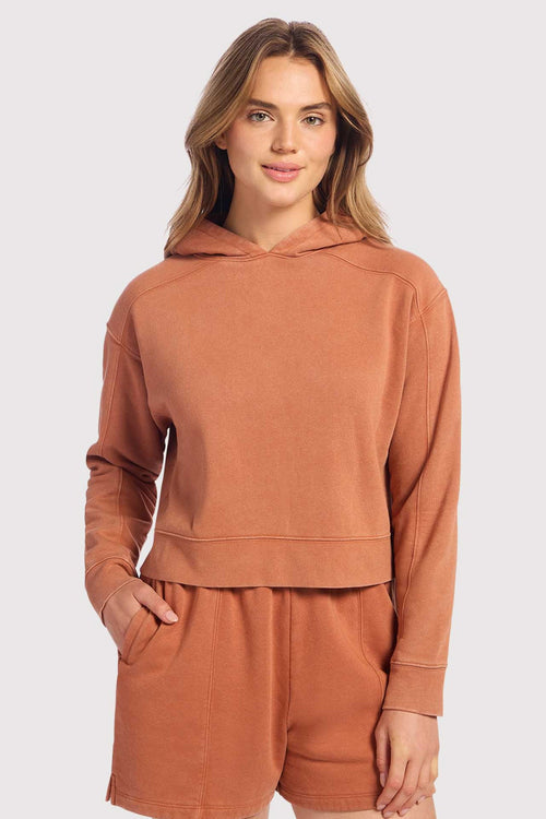 Vintage Fleece Cropped Hoodie | Washed Clay