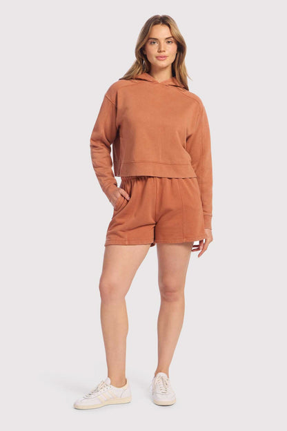 Vintage Fleece Cropped Hoodie | Washed Clay