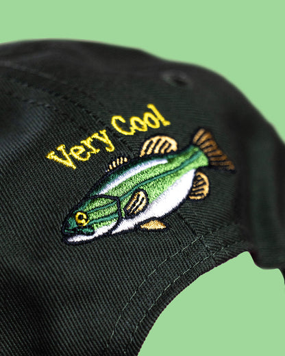 The Fishing Cap
