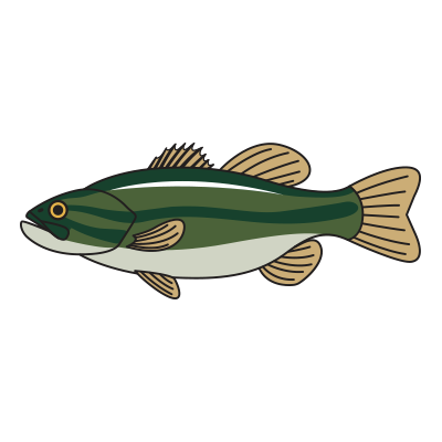The Fishing Cap